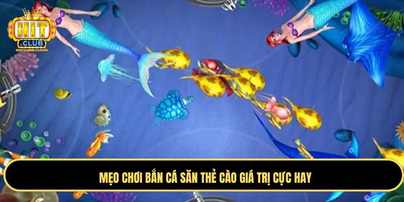 Mẹo chơi hay đem về thẻ cào giá trị lớn