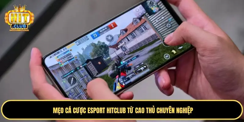 Phân tích tình hình đội tuyển