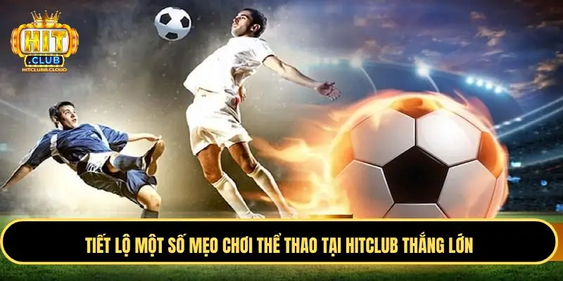 Luôn giữ “cái đầu lạnh” để chơi cá cược thể thao Hitclub
