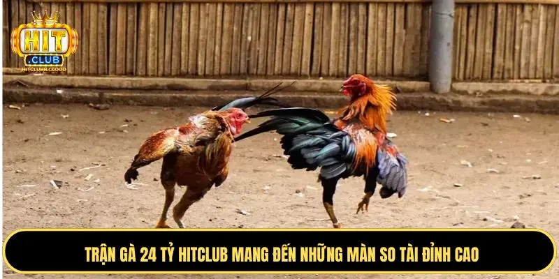 Tìm hiểu cơ bản về trận gà 24 tỷ chuẩn nhất