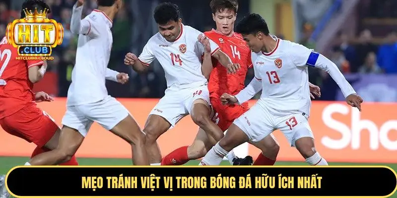 Di chuyển hợp lý để tránh bẫy việt vi